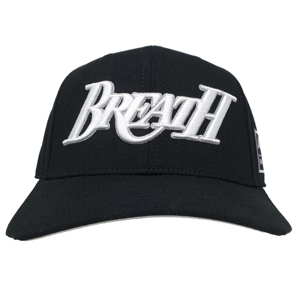 Breath x Mitchell & Ness Pro Fit Hat Cap 3D Logo Side Woven Label Logo Black New